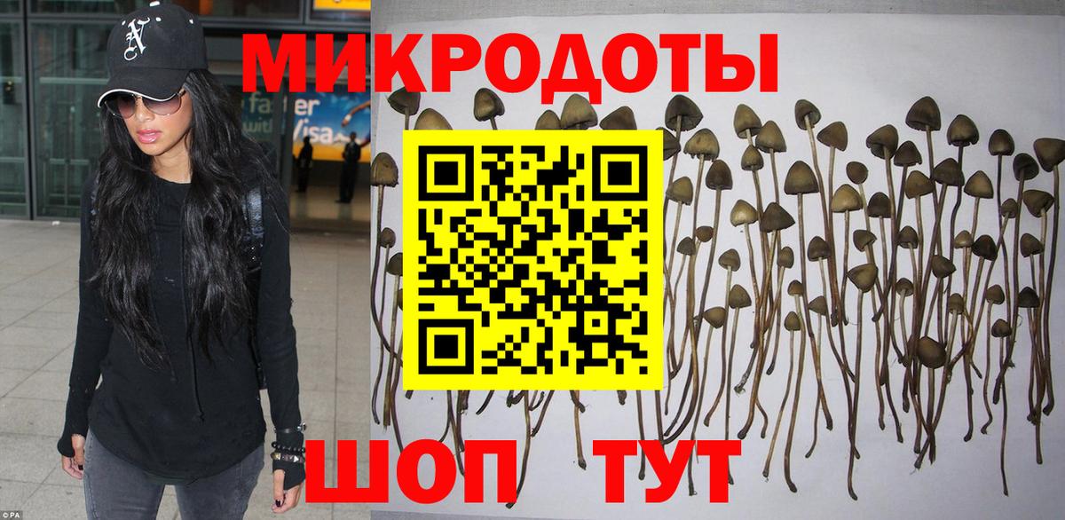 Псилоцибиновые грибы мицелий  Вход с VPN  Печора  Псилоцибиновые грибы мухоморы 