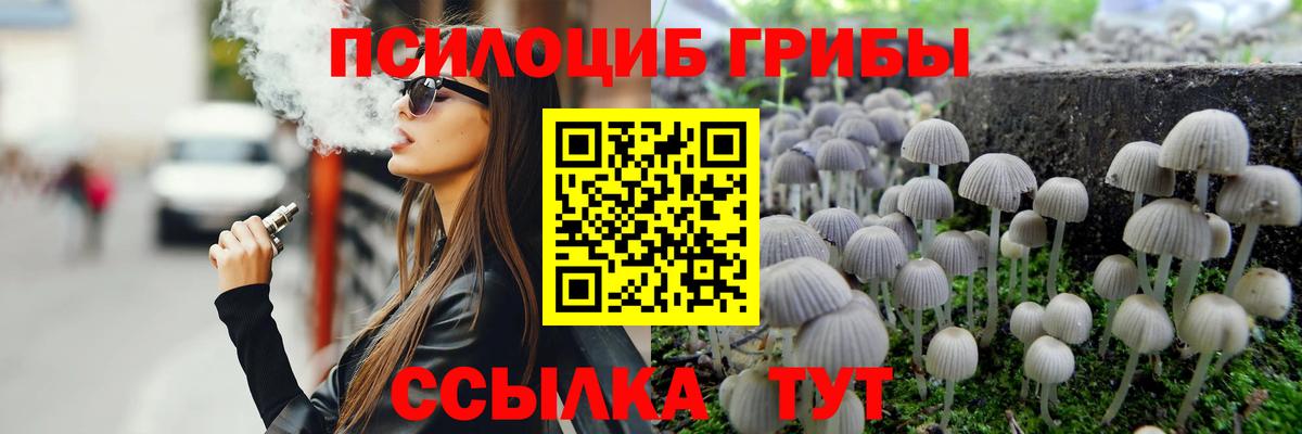 Псилоцибиновые грибы Psilocybine cubensis Печора